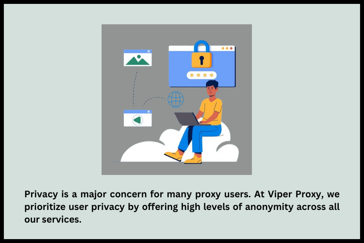 security and privacy concers at viper proxy